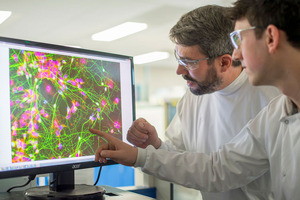 Sygnature Discovery invests £3.75m in compound management to provide cutting-edge hit finding capabilities