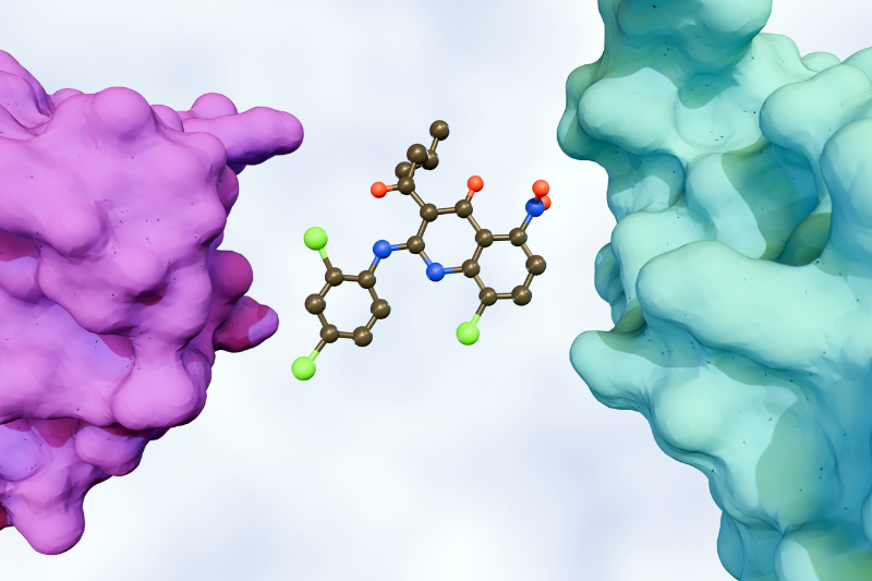 Symeres joins forces with Ambagon Therapeutics to expand molecular glue research in colorectal cancer