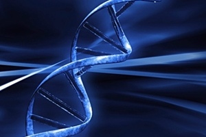 Synpromics and Solid Biosciences gene therapy research partnership