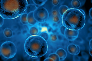 Syntax Bio and Applied StemCell partner to advance programmable iPSC therapy development