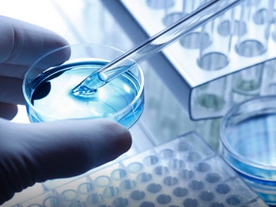 Synthetic biologists can now create novel vector constructs