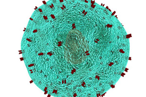 T-knife and Catalent Sign to collaborate on autologous T-cell receptor-based cell therapy