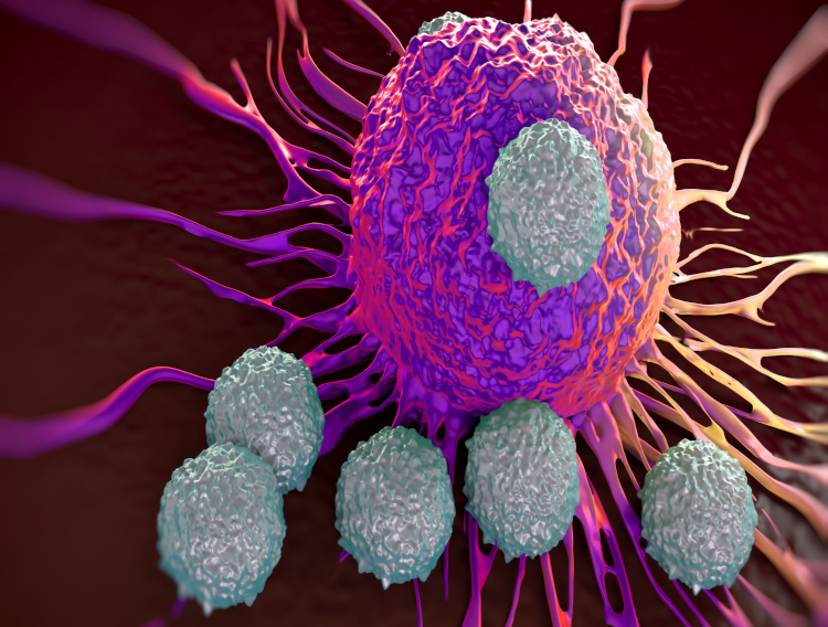 Takeda opens cell therapy manufacturing facility in Boston 