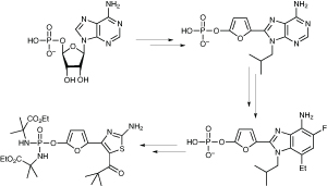 Merck converts adenosine monophosphate