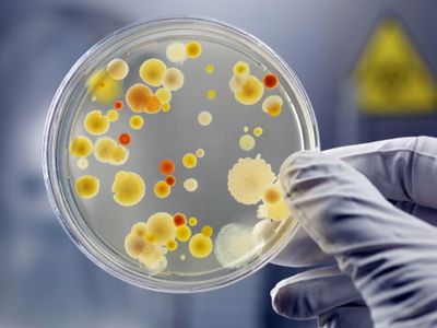 TB drug candidates developed from soil bacteria