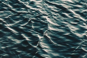 Teknova unveils new WFI quality water for bioprocessing market