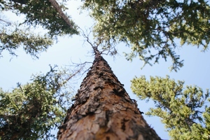 ten23 health releases its 'fairstainability' report