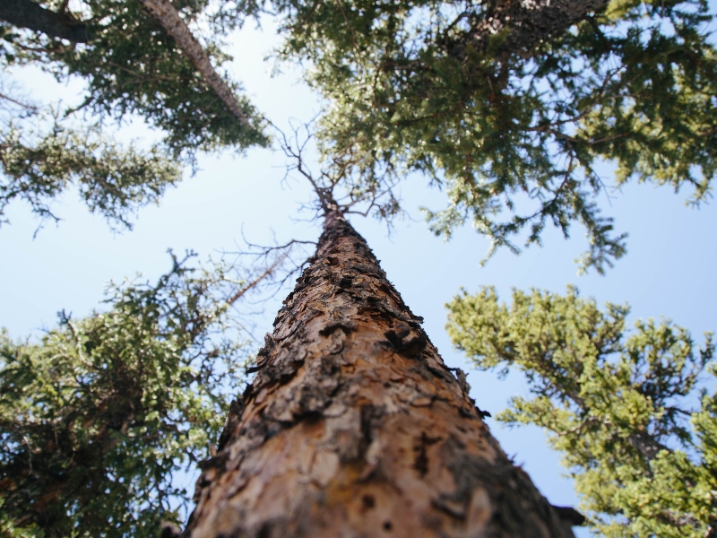 ten23 health releases its 'fairstainability' report