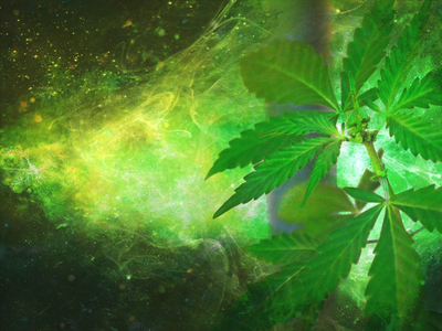 THC “without the high” could be a “game-changer”