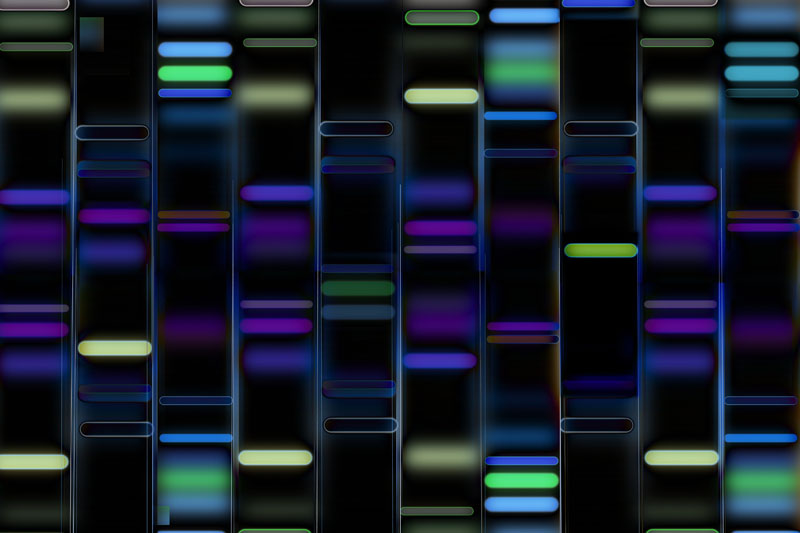 The allogeneic revolution: reshaping the future of cell therapy