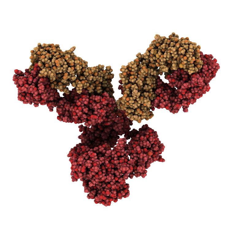 The art of the antibody curator