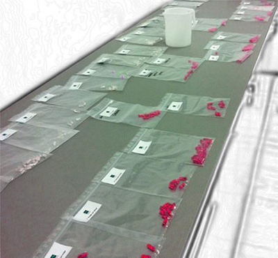 Different types of defects manually classified and ready for testing validation of automated inspection machine