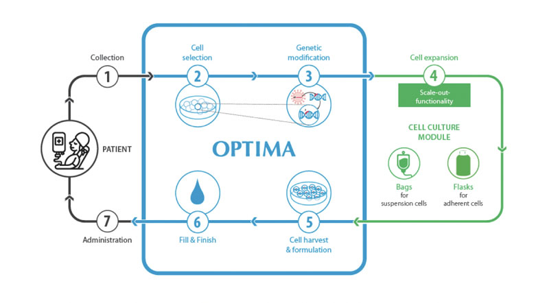 Figure 1: As the operator and product are always separated from each other by the use of isolator technology, all relevant process steps can be mapped and done safely
