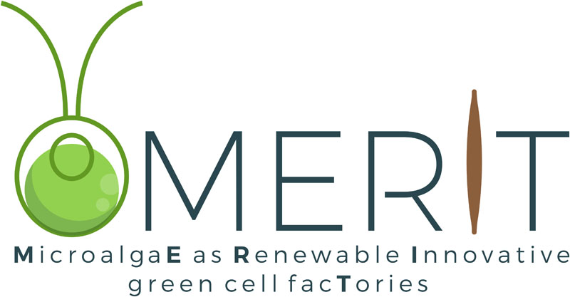 The MERIT of working with microalgae