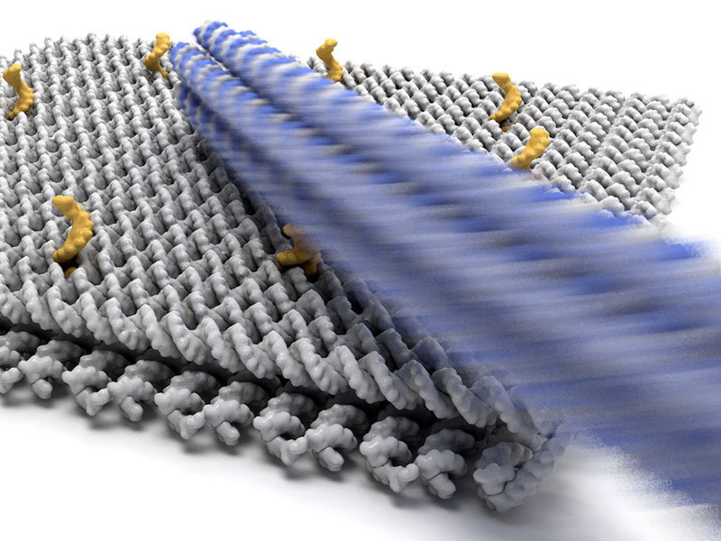 The nano revolution: pioneering the next frontier in drug delivery systems