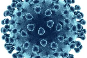 The Native Antigen Company introduces custom service for influenza antigens