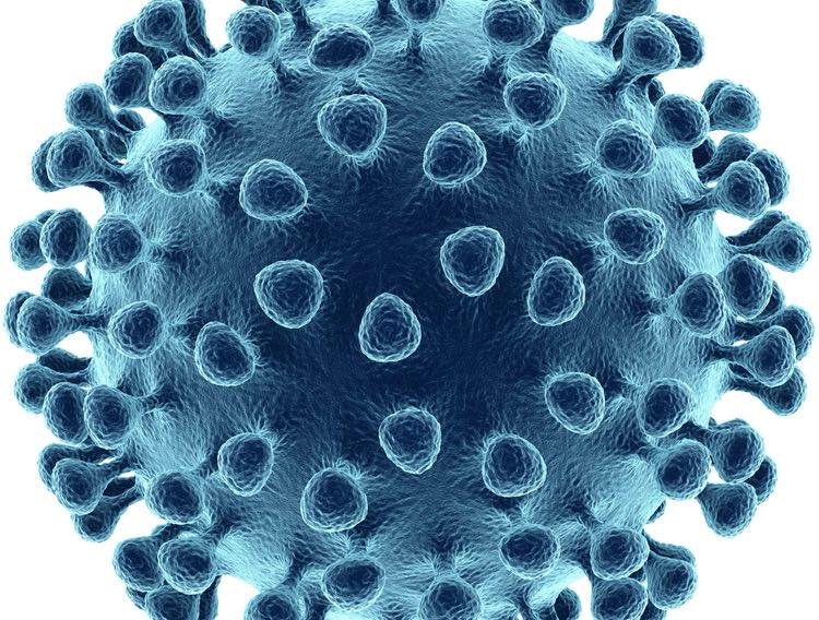 The Native Antigen Company introduces custom service for influenza antigens