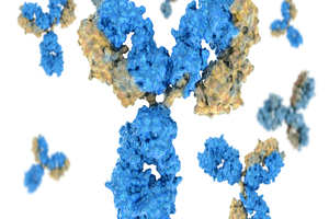 The Native Antigen Company launches SARS-CoV-2 antibodies
