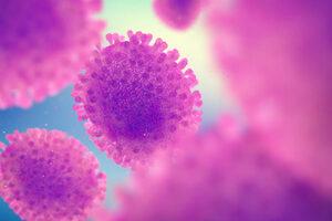 The Native Antigen Company strengthens senior team to support growing product portfolio