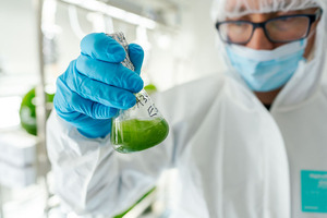 The rise of nutraceuticals in the pharmaceutical industry