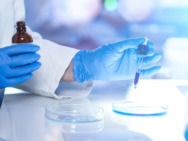 The roadmap to success in the cannabinoid drug development journey