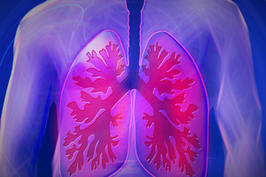 The supply chain forum: four pillars of capsule-based dry powder inhaler (cDPI) optimisation (part I)