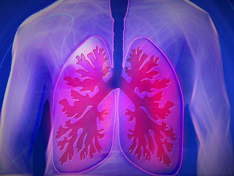 The supply chain forum: four pillars of capsule-based dry powder inhaler (cDPI) optimisation (part I)