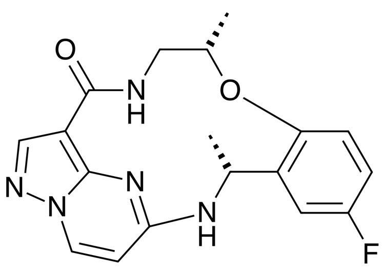 Therapeutic: anticancer agent repotrectinib