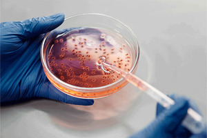Thermo Fisher Scientific Expands Gibco Bacto portfolio
