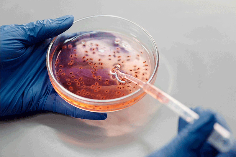 Thermo Fisher Scientific Expands Gibco Bacto portfolio
