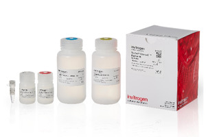 Thermo Fisher Scientific launches next-generation Invitrogen TaqMan Cells-to-CT Express Kit with simplified, more sustainable workflow