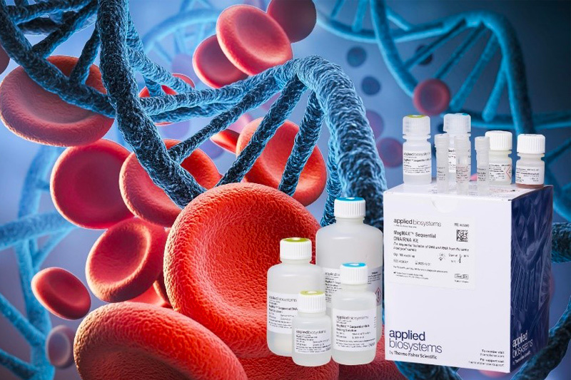 Thermo Fisher Scientific reveals MagMax Sequential DNA/RNA Kit to advance blood cancer research
