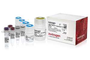 Thermo Fisher unveils HepatoExpress kit for liver cell gene expression analysis