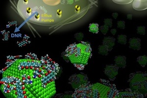 Tiny diamonds to boost treatment of chemoresistant leukaemia