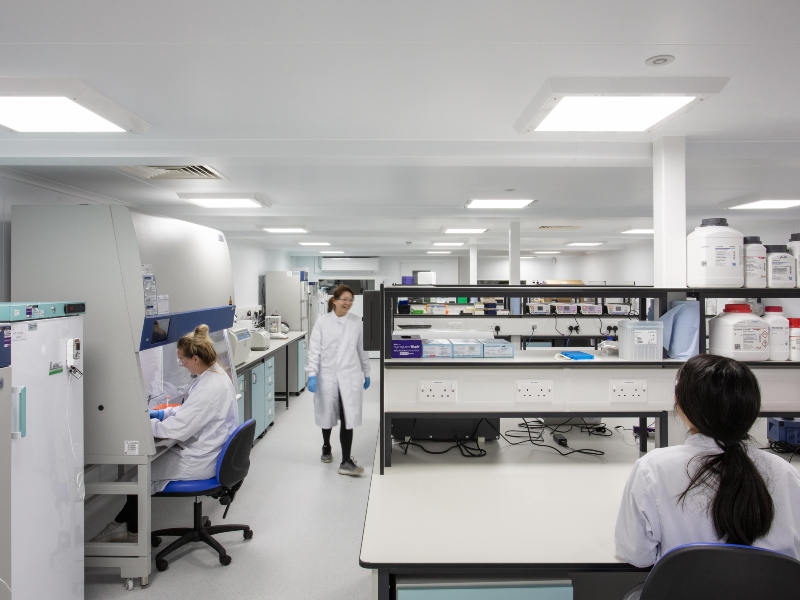 Inside the lab