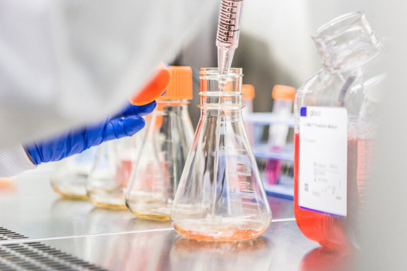Touchlight awarded tender to supply enzymatic dbDNA to CPI