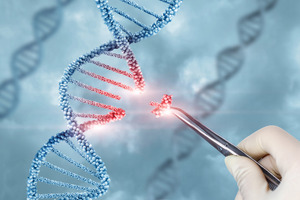 Touchlight expands mbDNA portfolio with new circular DNA formats for advanced gene therapies