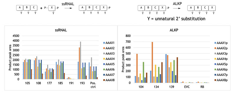 Figure 3: Nucleoside addition to blockmers using selectAZyme ligases