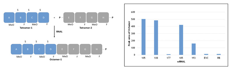 Figure 4: Blockmer to blockmer assembly (non-templated method) using selectAZyme ligases