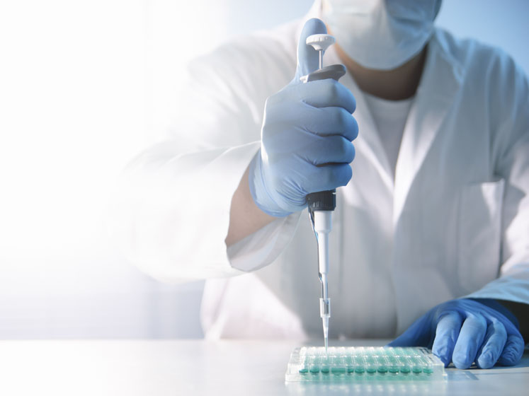 Towards the enzymatic synthesis of oligonucleotides: part II