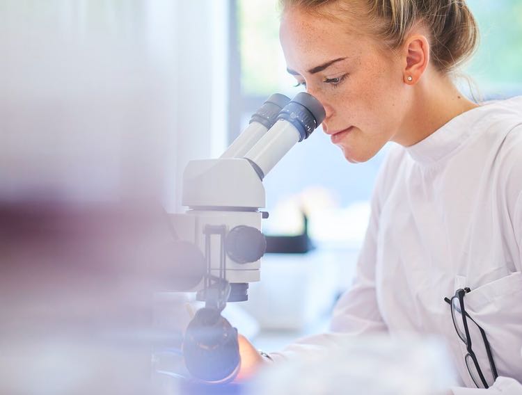 Transatlantic partnership to screen 15,000 drugs for COVID-19 treatments