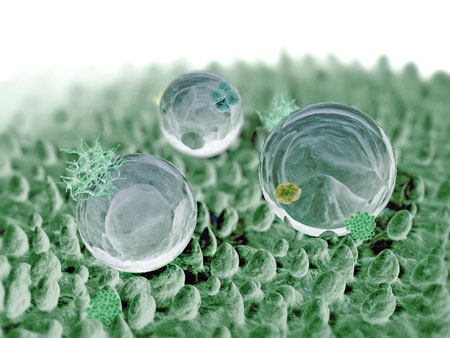 Treating cancer cells with nano-hydrogels 
