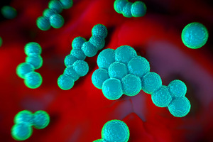 Treating infection with precise medicine may prevent our next pandemic
