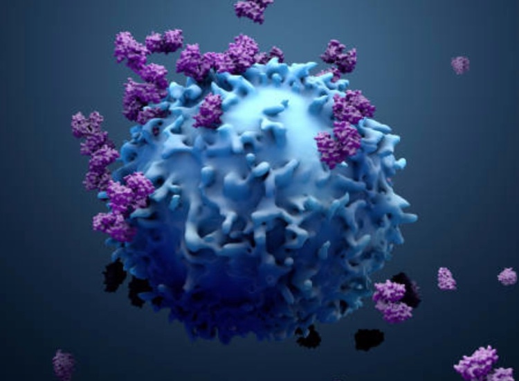 Twist Bioscience puts antibody optimisation potential to use