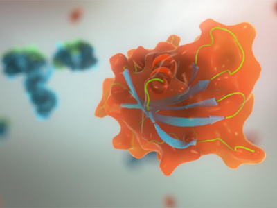 Two US biotech companies licence Affimer reagents for research use