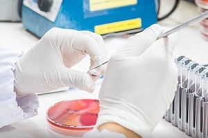 UK and Russian researchers join forces against AMR
