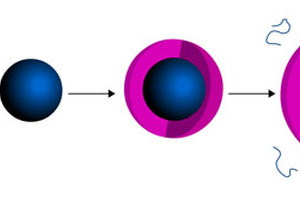Unique gel capsule structure enables multiple drug delivery