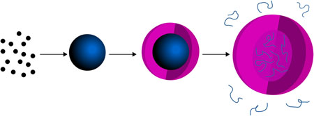 Unique gel capsule structure enables multiple drug delivery