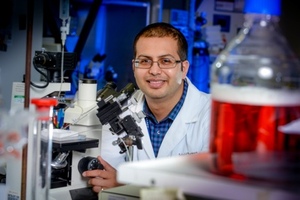 University of Brighton scientist wins global pharmaceutical award
