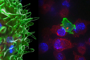 University of Cambridge fosters industry-academia collaborations in therapeutics